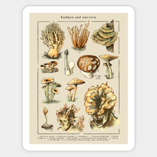 Endure and Survive - The last of us - Cordyceps mushrooms Sticker